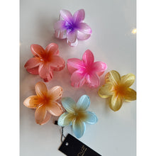 Load image into Gallery viewer, Qnuz Rikke large hairclip Hair accessories 01 Multi
